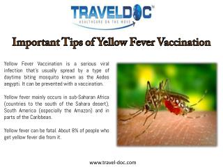 Important Tips of Yellow Fever Vaccination