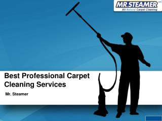 Mr.Steamer Carpet Cleaning Services