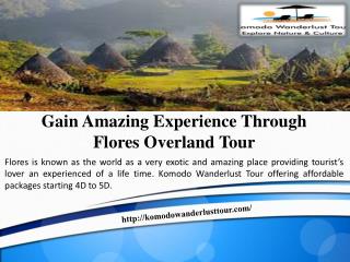 Gain Amazing Experience Through Flores Overland Tour