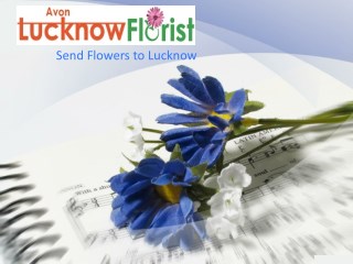 Send Online Flowers To Lucknow