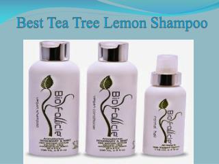 Find Best Tea Tree Lemon Shampoo