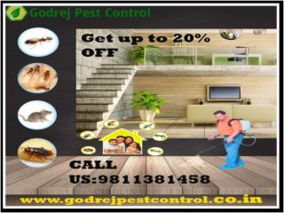 Creditable Pest Control South Delhi | Get 20% OFF