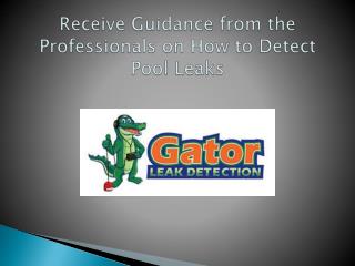 Receive Guidance from the Professionals on How to Detect Pool Leaks