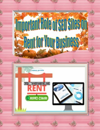 Important Role of SEO Sites on Rent for Your Business