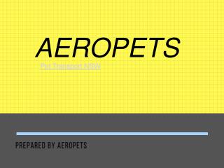Pet Transport NSW Service - Aeropets