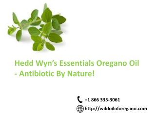 Wild Oil Of Oregano