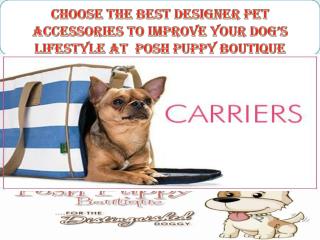Choose the best designer pet accessories to improve your dog’s lifestyle at Posh Puppy Boutique