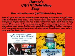 Nature's GiftTM Debriding Soap