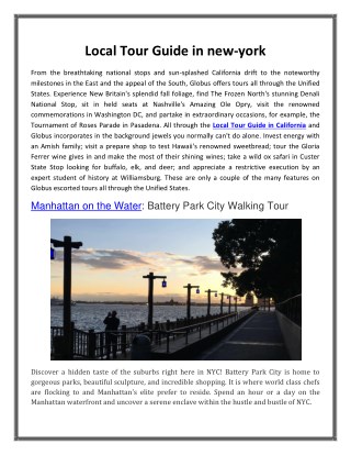 Local Tour Guide in new-york