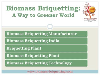 Biomass Briquetting A Way to Greener World