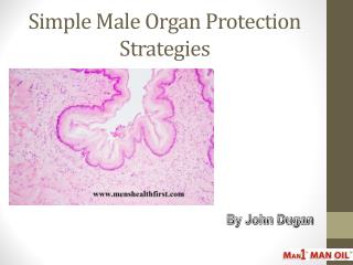 Simple Male Organ Protection Strategies