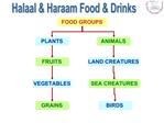 Halaal Haraam Food Drinks