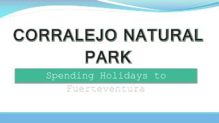 Corralejo Natural Park (Spending Holidays to Fuerteventura)