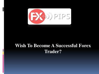 Earn 400-Forex Pips Net Profit