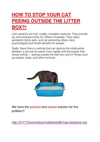 VET Reveals How to Stop Your Cat Peeing Outside the Litter Box PERMANENTLY!