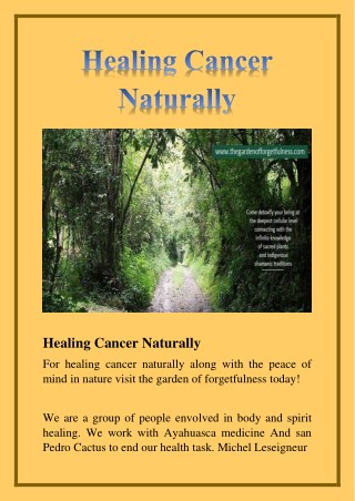Healing Cancer Naturally