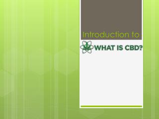 Introduction to "What Is CBD"