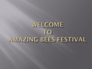 Amazing Facts About Bees