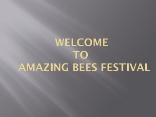 Amazing Facts About Bees