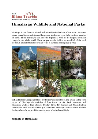 Himalayan Wildlife and National Parks