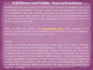 Wild Flowers and Wildlife - Tours to Kazakhstan