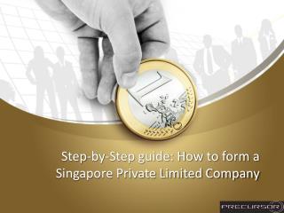 Step-by-Step guide: How to form a Singapore Private Limited Company