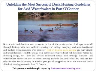 Unfolding the Most Successful Duck Hunting Guidelines for Avid Waterfowlers in Port O’Connor