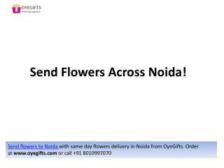 Send Flowers To Noida