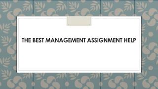 The Best Management Assignment Help
