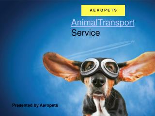 Aeropets Animal and Pet Transport Services