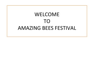 Amazing Bees Festival