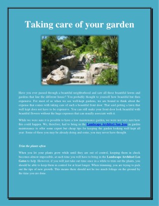 Taking care of your garden 