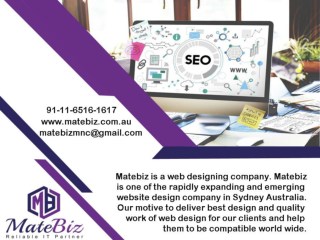 Matebiz Australia is an SEO company in Australia