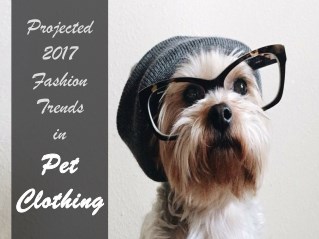 2017 Fashion Trends in Pet Clothing