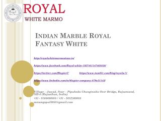 Indian Marble Royal Fantasy White