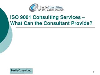 ISO 9001 Consulting Services – What Can the Consultant Provide?