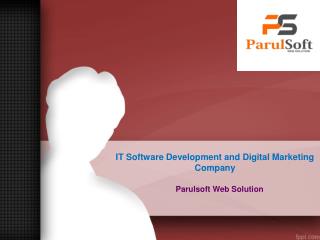 IT Software Development and Digital Marketing Company