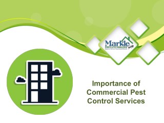 Importance of Commercial Pest Control Services