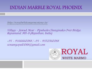 Indian Marble Royal Phoenix
