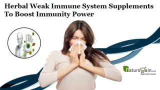 Herbal Weak Immune System Supplements To Boost Immunity Power
