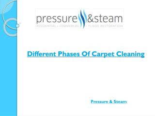 Different Phases Of Carpet Cleaning