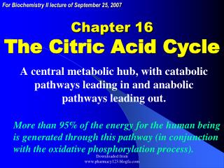Chapter 16 The Citric Acid Cycle