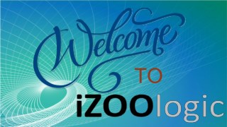 Cybercrime | iZOOlogic