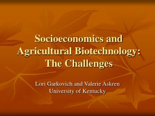 Socioeconomics and Agricultural Biotechnology: The Challenges