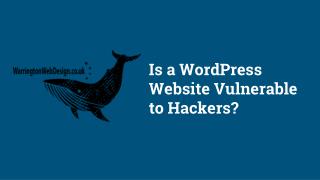 Is a WordPress Website Vulnerable to Hackers?