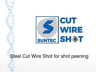 Steel Cut Wire Shot for shot peening