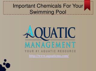 Important Chemicals For Your Swimming Pool