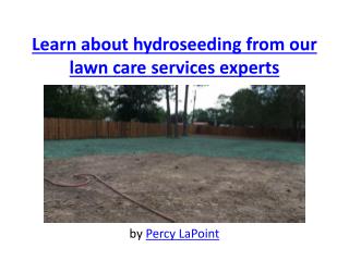 Learn about hydroseeding from our lawn care services experts
