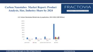 Carbon Nanotubes Market Report: Product Analysis, Size, Industry Share by 2024