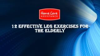 12 Effective Leg Exercises For The Elderly